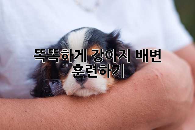똑똑하게 강아지 배변 훈련하기🐶