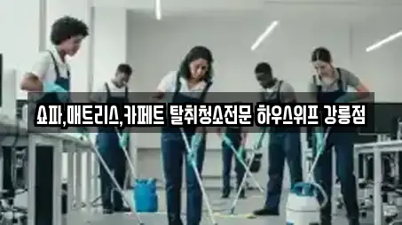 쇼파,매트리스,카페트 탈취청소전문 하우스위프 강릉점