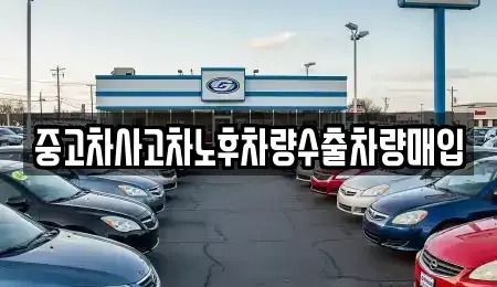 중고차사고차노후차량수출차량매입