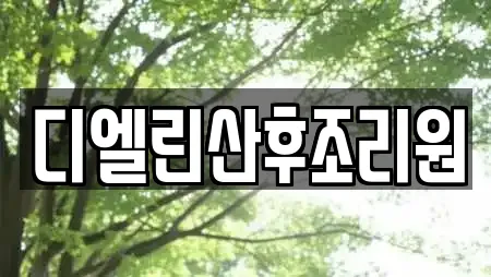 디엘린산후조리원