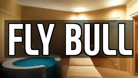 FLY BULL