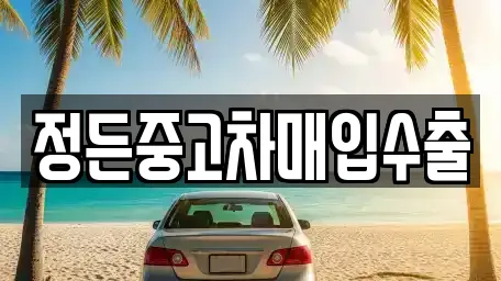 정든중고차매입수출