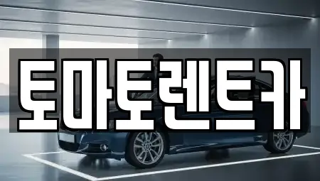 렌트카 전문 업체 5곳 (경기도 포천시 창수면)