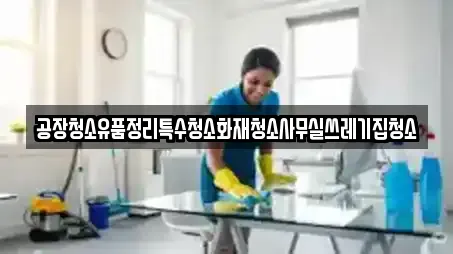 공장청소유품정리특수청소화재청소사무실쓰레기집청소