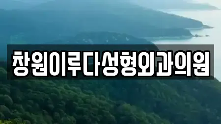 창원이루다성형외과의원