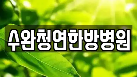 수완청연한방병원