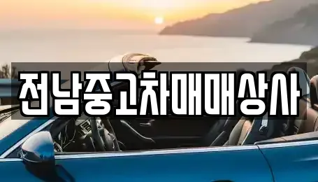 8곳의 광주광역시 북구 청풍동 장기렌트카 전문업체