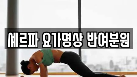 셰르파 요가명상 반여분원