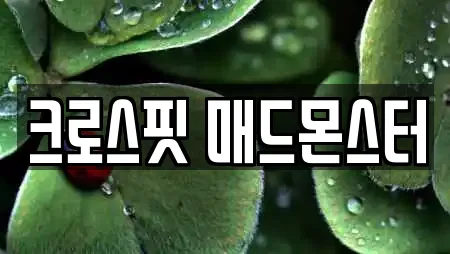 크로스핏 매드몬스터