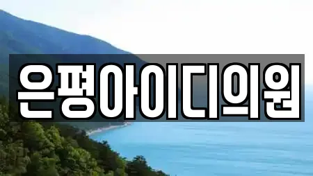 은평아이디의원