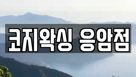 코지왁싱 응암점