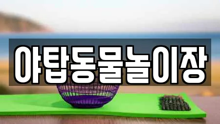 야탑동물놀이장