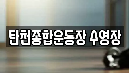 탄천종합운동장 수영장