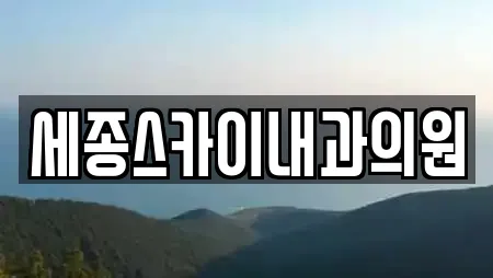 세종스카이내과의원