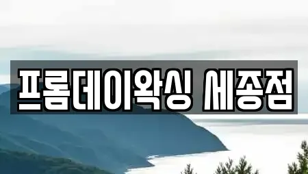 프롬데이왁싱 세종점