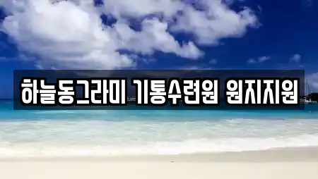 하늘동그라미 기통수련원 원지지원