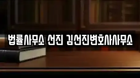 법률사무소 선진 김선진변호사사무소