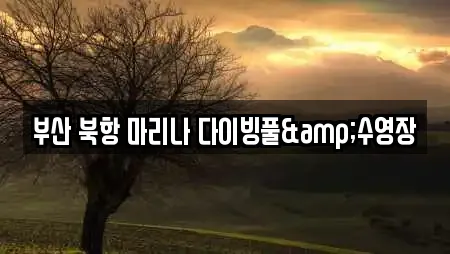 부산 북항 마리나 다이빙풀&수영장