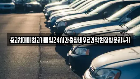 중고차매매최고가매입24시간출장비무료견적현장방문지누카