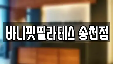 바니핏필라테스 송천점