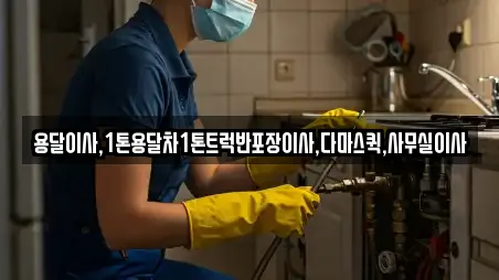 용달이사,1톤용달차1톤트럭반포장이사,다마스퀵,사무실이사