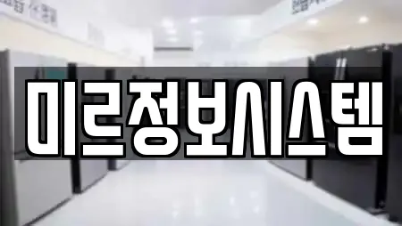 미르정보시스템