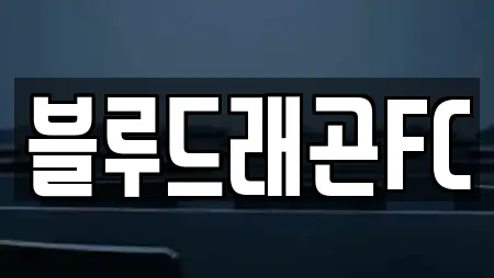 블루드래곤FC
