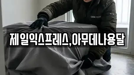 제일익스프레스,아무데나용달