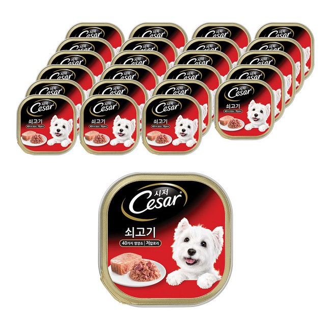 시저캔 100g 완벽 분석: 댕냥이 만족도 200% 높이는 구매 가이드 🐾