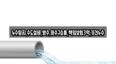 누수탐지,수도설비,방수,하수구소통,책임보험3억,가건누수