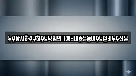 누수탐지하수구하수도막힘변기씽크대뚫음뚫어수도설비누수전문
