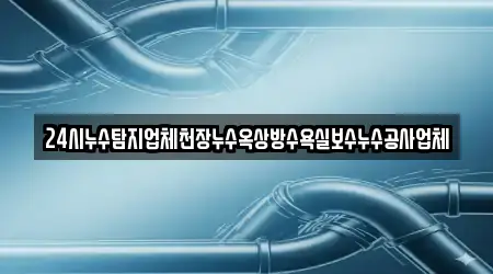 24시누수탐지업체천장누수옥상방수욕실보수누수공사업체