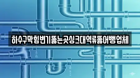 하수구막힘변기뚫는곳싱크대역류뚫어뻥업체