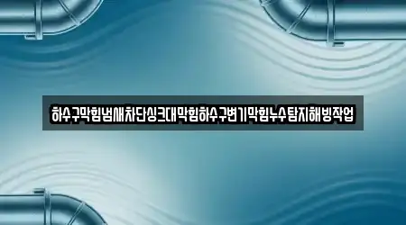 하수구막힘냄새차단싱크대막힘하수구변기막힘누수탐지해빙작업