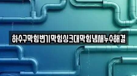 하수구막힘변기막힘싱크대막힘냄새누수해결
