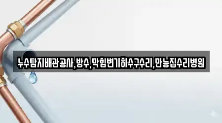 누수탐지배관공사,방수,막힘변기하수구수리,만능집수리병원