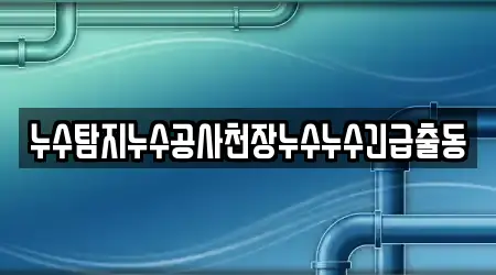 누수탐지누수공사천장누수누수긴급출동