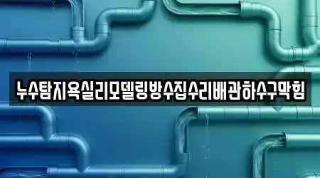 누수탐지욕실리모델링방수집수리배관하수구막힘