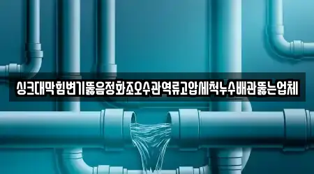싱크대막힘변기뚫음정화조오수관역류고압세척누수배관뚫는업체
