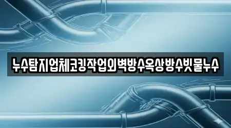 누수탐지업체코킹작업외벽방수옥상방수빗물누수