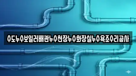 수도누수보일러배관누수천장누수화장실누수욕조수리공사