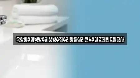 옥상방수외벽방수지붕방수집수리창틀실리콘누수결로페인트칠공사