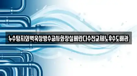누수탐지외벽옥상방수공사화장실베란다수전교체노후수도배관