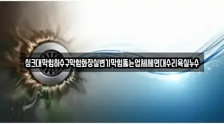 싱크대막힘하수구막힘화장실변기막힘뚫는업체세면대수리욕실누수