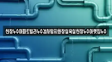 천장누수아파트빌라누수검사탐지화장실욕실천장누수아랫집누수