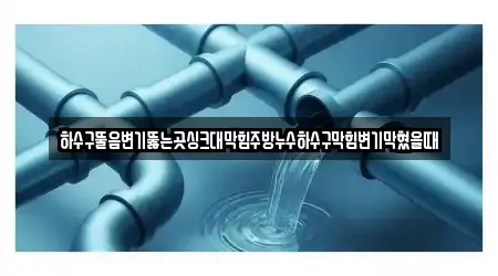 하수구뚤음변기뚫는곳싱크대막힘주방누수하수구막힘변기막혔을때