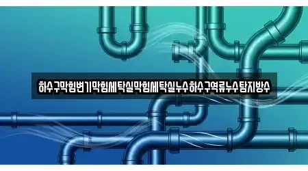 하수구막힘변기막힘세탁실막힘세탁실누수하수구역류누수탐지방수