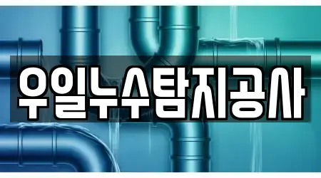 우일누수탐지공사