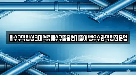 하수구막힘싱크대역류배수구뚫음변기뚫어뻥우수관막힘전문업