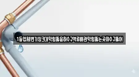 1등업체변기싱크대막힘뚫음하수구역류배관막힘뚫는곳하수구뚫어